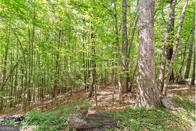 544 Cameron Road, Cleveland, GA 30528 - Photo 47