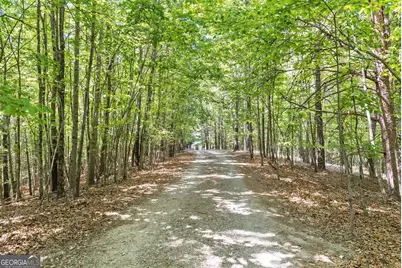 544 Cameron Road, Cleveland, GA 30528 - Photo 51