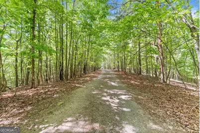 544 Cameron Road, Cleveland, GA 30528 - Photo 51