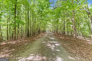 544 Cameron Rd, Cleveland, GA 30528 - Photo 51