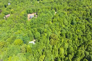 544 Cameron Rd, Cleveland, GA 30528 - Photo 69