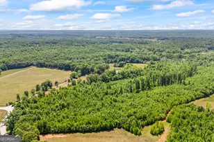 193 Wrights Mill Ln, Commerce, GA 30530 - Photo 85