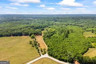 193 Wrights Mill Ln, Commerce, GA 30530 - Photo 83