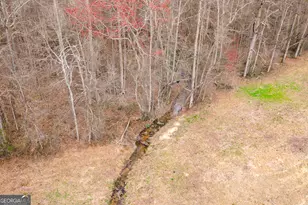 4115 Hwy 191, Danielsville, GA 30633 - Photo 5