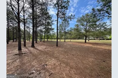 138 Brannon Montgomery Road, Mauk, GA 31058 - Photo 49