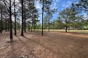 138 Brannon Montgomery Rd, Mauk, GA 31058 - Photo 49
