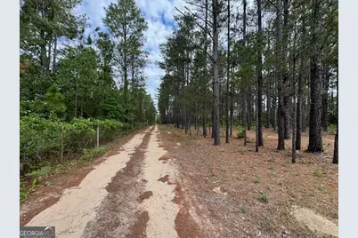 138 Brannon Montgomery Road, Mauk, GA 31058 - Photo 25
