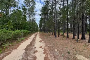 138 Brannon Montgomery Rd, Mauk, GA 31058 - Photo 25