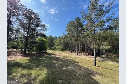138 Brannon Montgomery Road, Mauk, GA 31058 - Photo 45