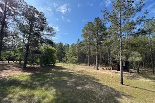 138 Brannon Montgomery Rd, Mauk, GA 31058 - Photo 45