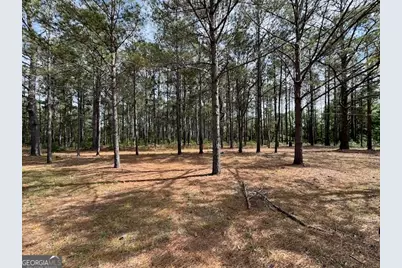 138 Brannon Montgomery Road, Mauk, GA 31058 - Photo 47