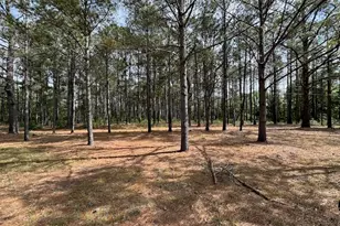 138 Brannon Montgomery Rd, Mauk, GA 31058 - Photo 47