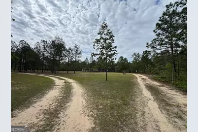 138 Brannon Montgomery Road, Mauk, GA 31058 - Photo 29