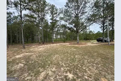 138 Brannon Montgomery Road, Mauk, GA 31058 - Photo 31