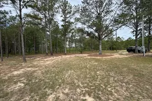 138 Brannon Montgomery Rd, Mauk, GA 31058 - Photo 31