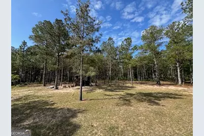 138 Brannon Montgomery Road, Mauk, GA 31058 - Photo 43