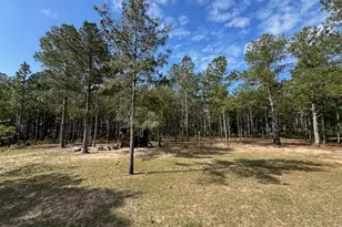 138 Brannon Montgomery Rd, Mauk, GA 31058 - Photo 43