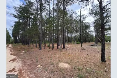 138 Brannon Montgomery Road, Mauk, GA 31058 - Photo 27