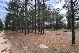 138 Brannon Montgomery Rd, Mauk, GA 31058 - Photo 27