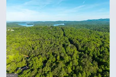 Lot 42 Harris Creek Drive, Ellijay, GA 30540 - Photo 7