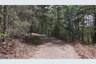 Lot 20 Horseshoe Bend Road, Dahlonega, GA 30533 - Photo 3