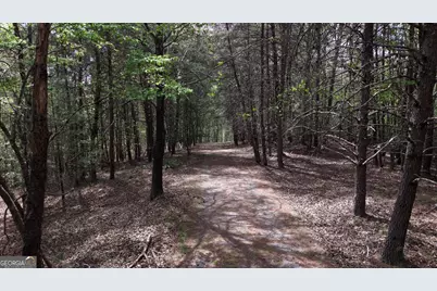 Lot 20 Horseshoe Bend Road, Dahlonega, GA 30533 - Photo 9