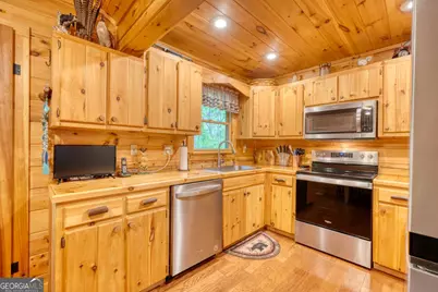 215 The Woods Road, Mineral Bluff, GA 30559 - Photo 11