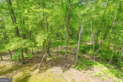 215 The Woods Road, Mineral Bluff, GA 30559 - Photo 31