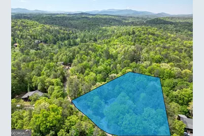 215 The Woods Road, Mineral Bluff, GA 30559 - Photo 41