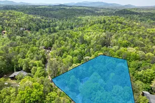 215 The Woods Rd, Mineral Bluff, GA 30559 - Photo 41