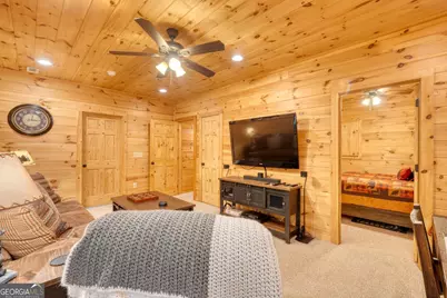 215 The Woods Road, Mineral Bluff, GA 30559 - Photo 23