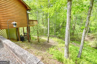 215 The Woods Road, Mineral Bluff, GA 30559 - Photo 39