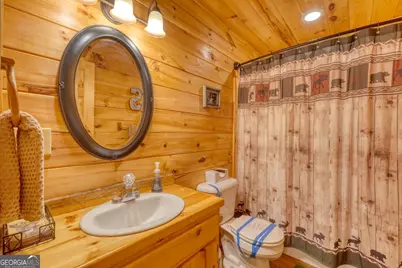215 The Woods Road, Mineral Bluff, GA 30559 - Photo 17