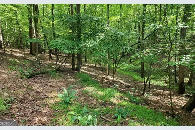 Lot 838 Oneida Circle, Ellijay, GA 30540 - Photo 1