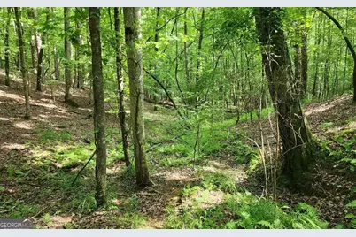 Lot 838 Oneida Circle, Ellijay, GA 30540 - Photo 3