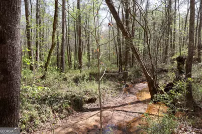 200 Higgins Road, Flovilla, GA 30216 - Photo 37