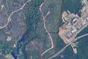 0 Juniper Creek Rd, Byron, GA 31008 - Photo 1