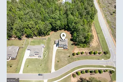 33 Ryeland Drive, Senoia, GA 30276 - Photo 57