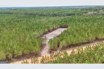 Tract 7 and 8 Penny Morris Road, Baxley, GA 31513 - Photo 1