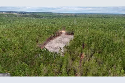 Tract 7 and 8 Penny Morris Road, Baxley, GA 31513 - Photo 3