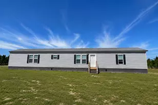 1153 Midway Church Rd, Baxley, GA 31513 - Photo 1