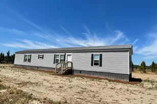 1153 Midway Church Rd, Baxley, GA 31513 - Photo 1