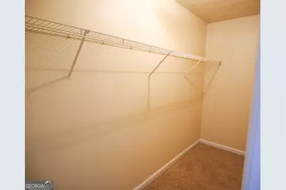 11036 Pebble Ridge Drive, Hampton, GA 30228 - Photo 27
