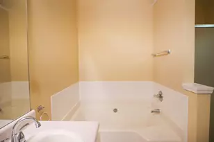 11036 Pebble Ridge Dr, Hampton, GA 30228 - Photo 19