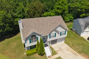 11036 Pebble Ridge Dr, Hampton, GA 30228 - Photo 3