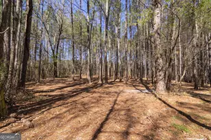 331 Deerfield Rd, Hogansville, GA 30230 - Photo 65