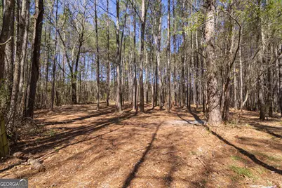 331 Deerfield Road, Hogansville, GA 30230 - Photo 61