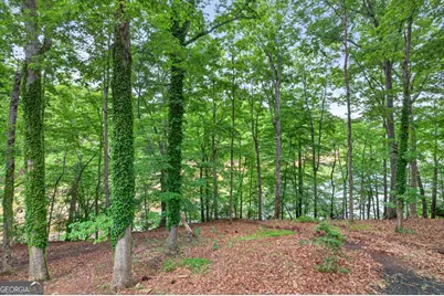 3327 Hickory Point, Gainesville, GA 30506 - Photo 53