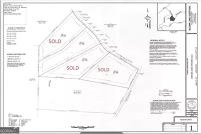 Tract 2 - 0 St. Paul Church Road, Shiloh, GA 31826 - Photo 19