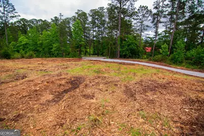 Tract 2 - 0 St. Paul Church Road, Shiloh, GA 31826 - Photo 23